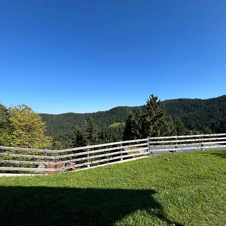 Sedmakovo - Pocitniska Hisa V Naravi - Ob Savinji * Ljubno