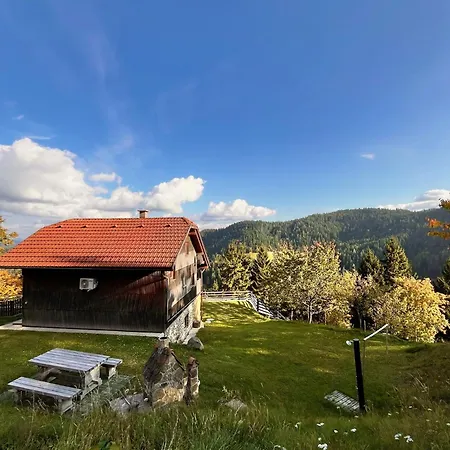 Sedmakovo - Pocitniska Hisa V Naravi - Ob Savinji * Ljubno