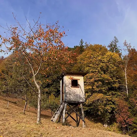 Sedmakovo - Pocitniska Hisa V Naravi - Ob Savinji Dom wakacyjny *