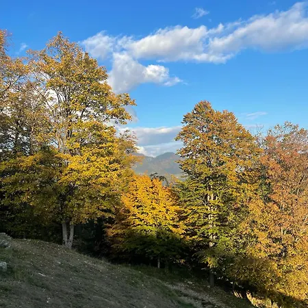 Sedmakovo - Pocitniska Hisa V Naravi - Ob Savinji *