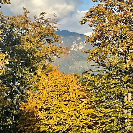 Dom wakacyjny Sedmakovo - Pocitniska Hisa V Naravi - Ob Savinji *