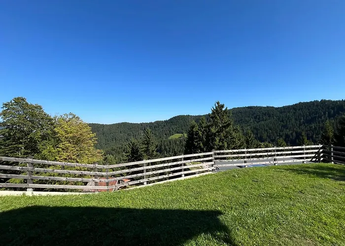 Sedmakovo - Pocitniska Hisa V Naravi - Ob Savinji * Ljubno