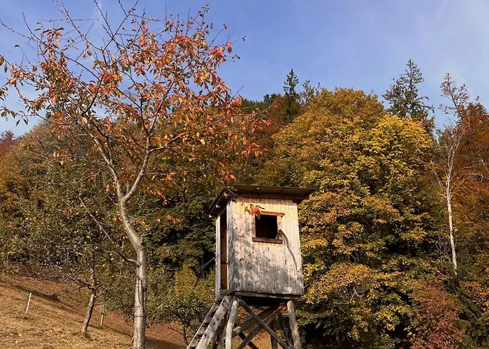 Sedmakovo - Pocitniska Hisa V Naravi - Ob Savinji Tatil Evi *