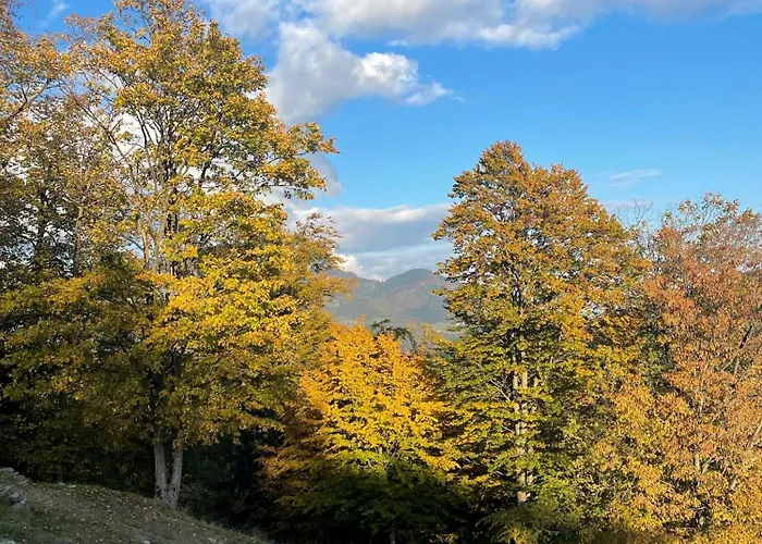 Sedmakovo - Pocitniska Hisa V Naravi - Ob Savinji *
