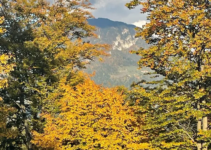 Tatil Evi Sedmakovo - Pocitniska Hisa V Naravi - Ob Savinji *